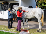 NH051025-14 - The Carpenter